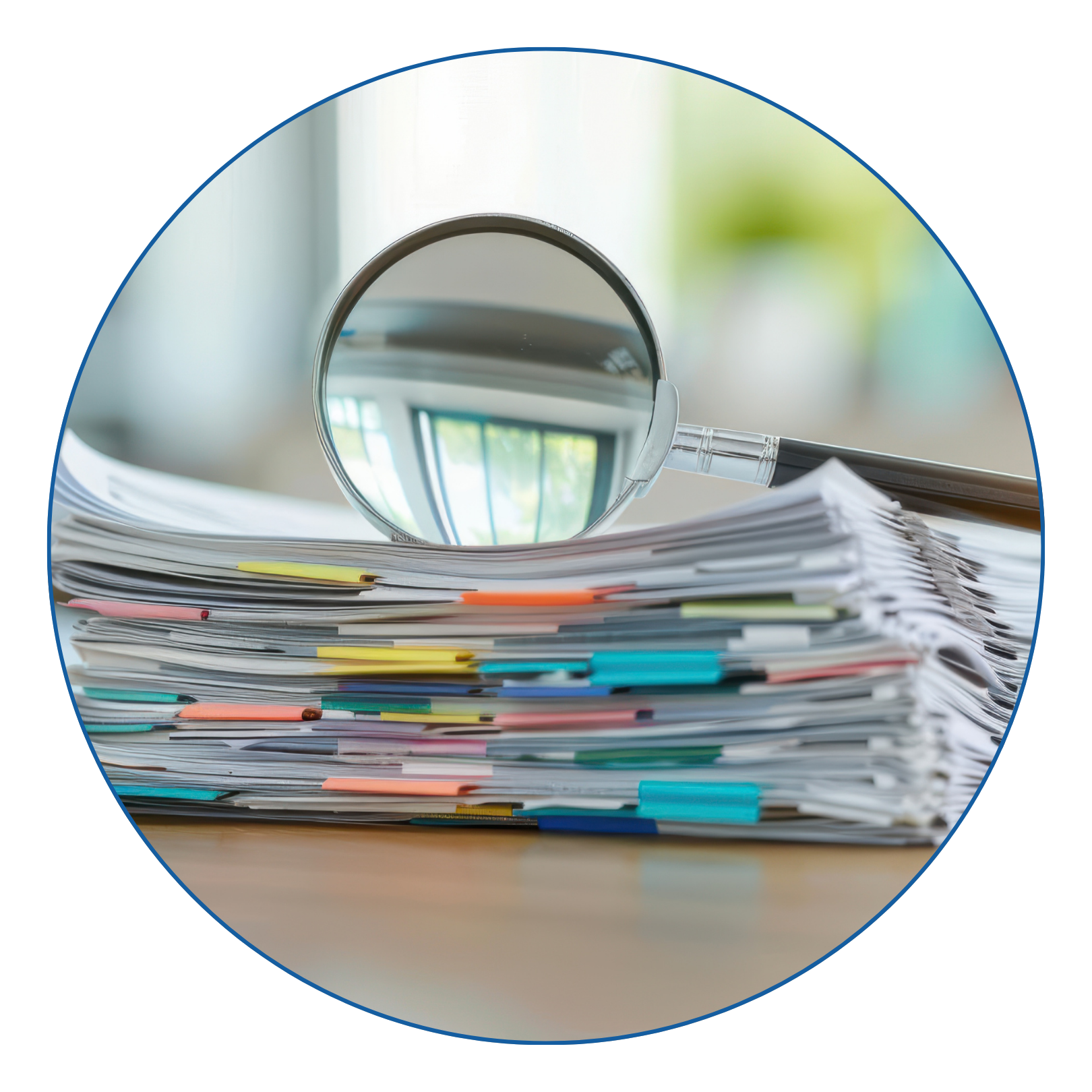 RISK AND SAFETY AUDITS