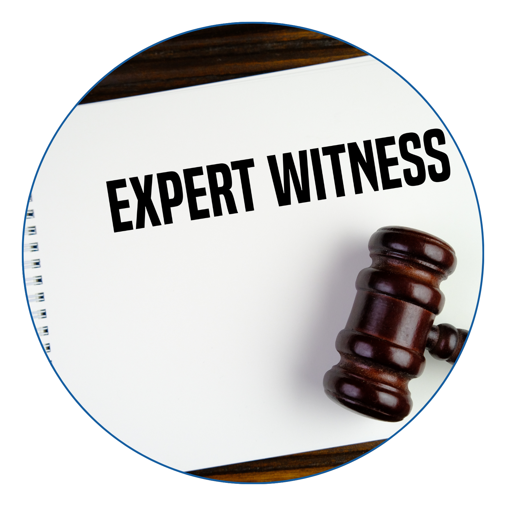 EXPERT WITNESS